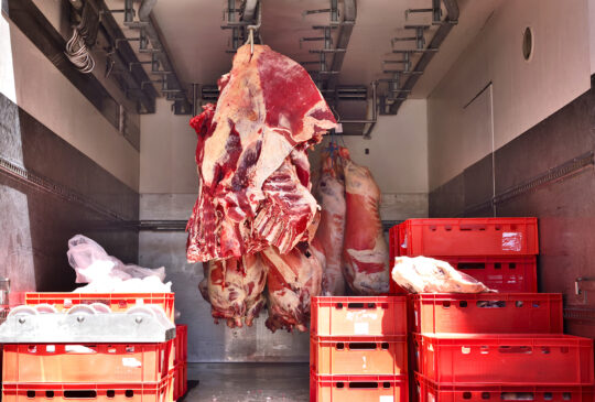 Raw beef, butchery transport. Raw meat hanging on meat hooks in a truck.